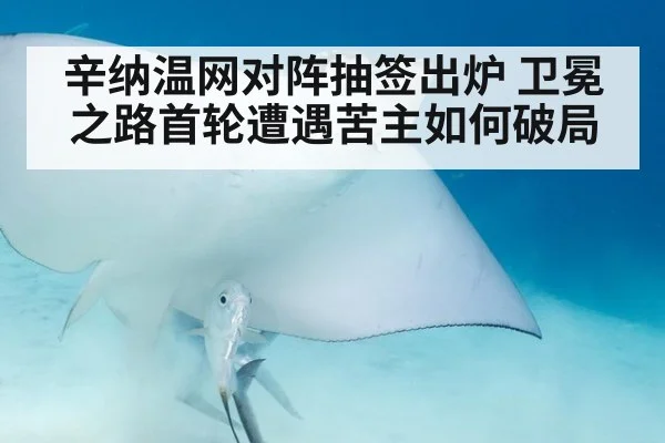 辛纳温网对阵抽签出炉 卫冕之路首轮遭遇苦主如何破局